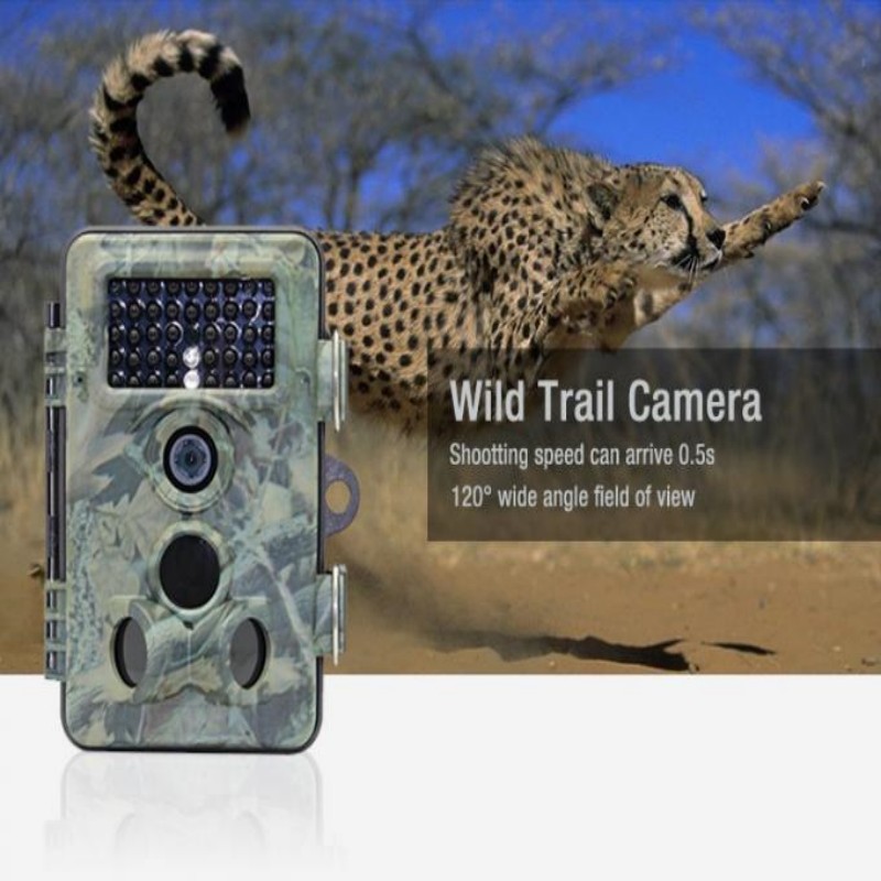 Wholesales The Best Sports Camera 2.4" TFTLCD Animal Tracking Wildlife Digital Camera DVR Vedio Camera Made In China