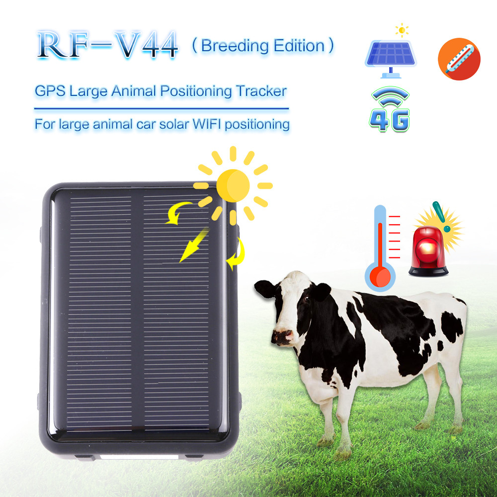 4G Long Battery RF-V44 Cow Gps Tracking Device For Temperature Accuracy And Solar Power Waterproof Real-Time Gps Trackin